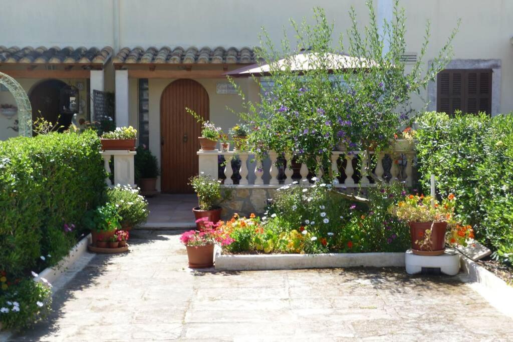 Casa Paraiso 萨科马 外观 照片